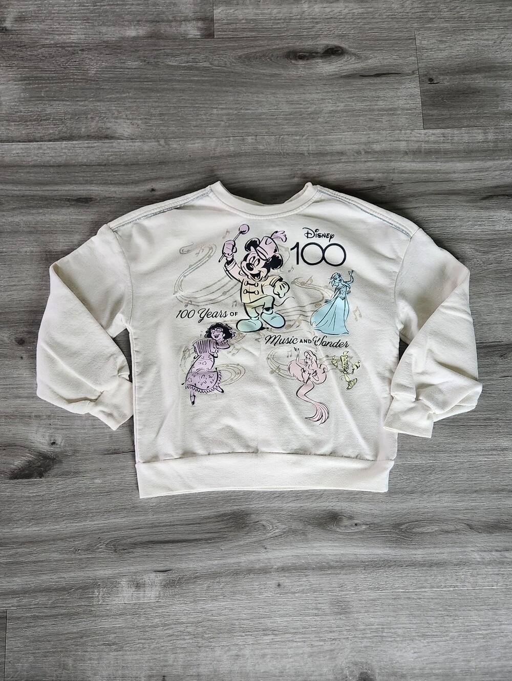 Walt Disney Youth Large 100 Year Crewneck Sweatshirt